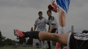 NCAA录像  2019年04月07日 奥本大学vs弗吉尼亚大学比赛视频完整直播回看